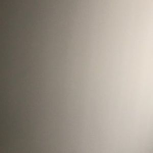 Meet your Posher, Rosie